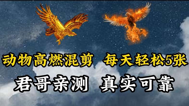 动物超燃混剪，每天轻松5张，剪辑简单大家爱看【揭秘】-云商网创