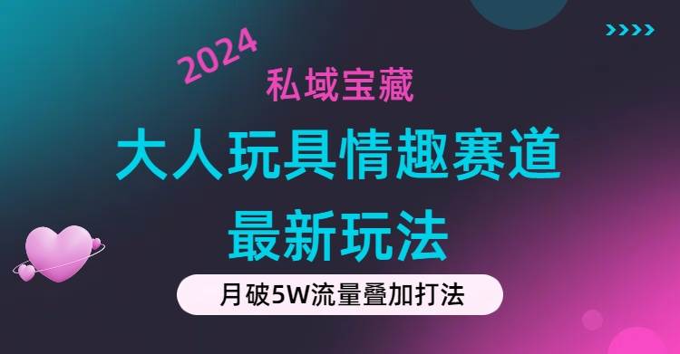 （11541期）私域宝藏：大人玩具情趣赛道合规新玩法，零投入，私域超高流量成单率高-云商网创