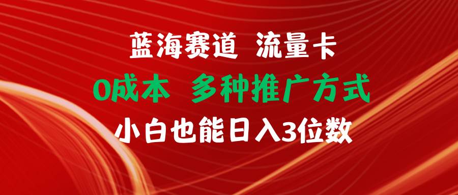 （11768期）蓝海赛道 流量卡 0成本 小白也能日入三位数-云商网创