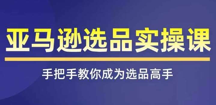 亚马逊选品实操课程，快速掌握亚马逊选品的技巧，覆盖亚马逊选品所有渠道-云商网创