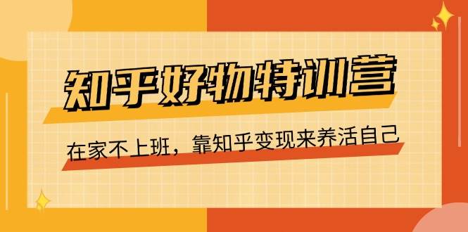 知乎好物特训营，在家不上班，靠知乎变现来养活自己（16节）-云商网创
