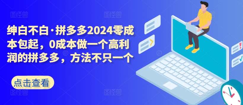 拼多多2024零成本包起，0成本做一个高利润的拼多多，方法不只一个-云商网创