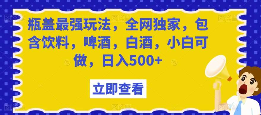 瓶盖最强玩法，全网独家，包含饮料，啤酒，白酒，小白可做，日入500+【揭秘】-云商网创