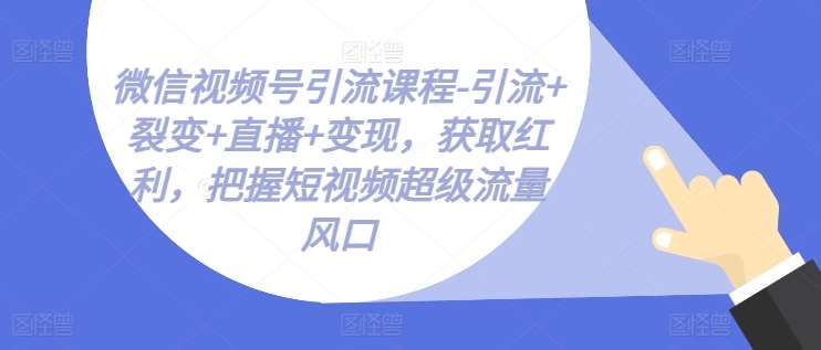 微信视频号引流课程-引流+裂变+直播+变现，获取红利，把握短视频超级流量风口-云商网创