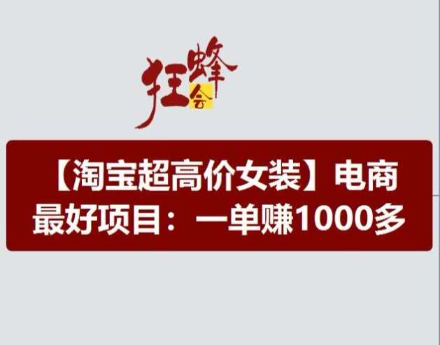 淘宝超高价女装项目，电商最好赛道，一单赚1000多-云商网创