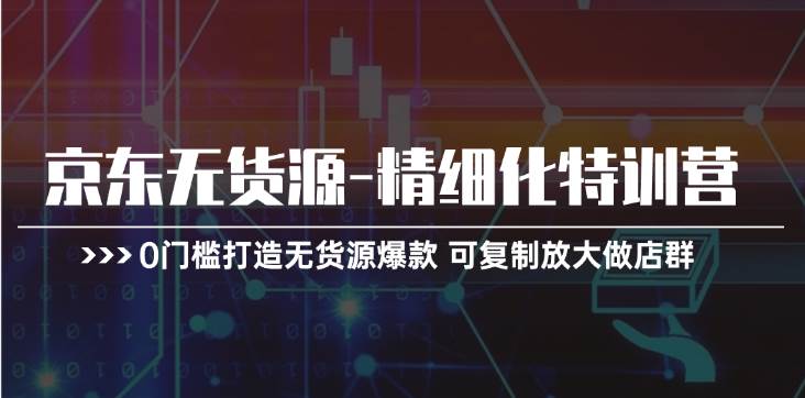 （11303期）京东无货源-精细化特训营，0门槛打造无货源爆款 可复制放大做店群-云商网创