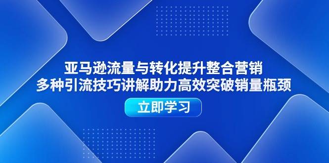 （11335期）亚马逊流量与转化提升整合营销，多种引流技巧讲解助力高效突破销量瓶颈-云商网创