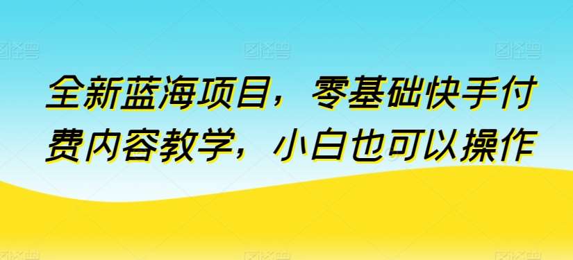 全新蓝海项目，零基础快手付费内容教学，小白也可以操作【揭秘】-云商网创