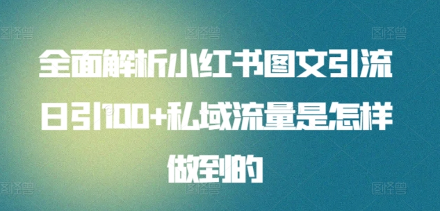 日引流100私域流量小红书图文是怎样做到的全面解析-云商网创