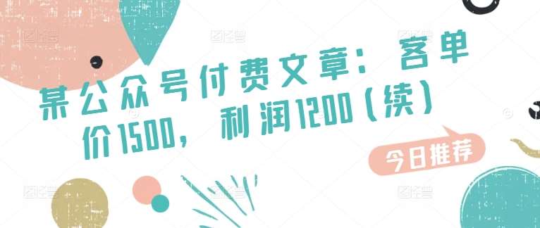 某公众号付费文章：客单价1500，利润1200(续)，市场几乎可以说是空白的-云商网创