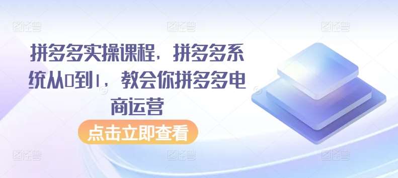 拼多多实操课程，拼多多系统从0到1，教会你拼多多电商运营-云商网创