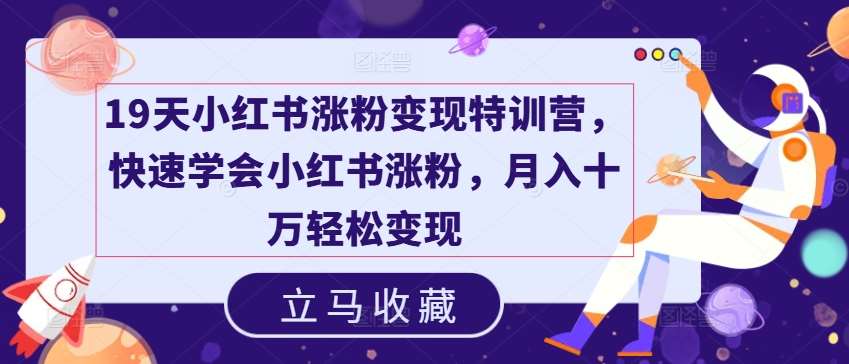 19天小红书涨粉变现特训营，快速学会小红书涨粉，月入十万轻松变现-云商网创