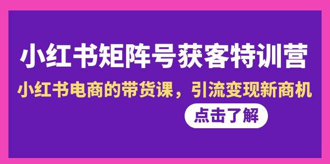 （8909期）小红书-矩阵号获客特训营-第10期，小红书电商的带货课，引流变现新商机-云商网创