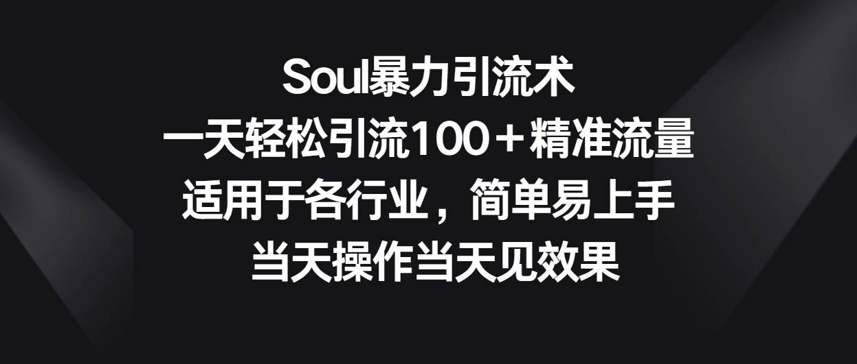 Soul暴力引流术，一天轻松引流100＋精准流量，适用于各行业，简单易上手！-云商网创