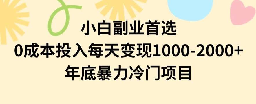 小白副业首选，0成本投入，每天变现1000-2000年底暴力冷门项目【揭秘】-云商网创