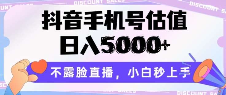 抖音手机号估值，日入5000+，不露脸直播，小白秒上手【揭秘】-云商网创