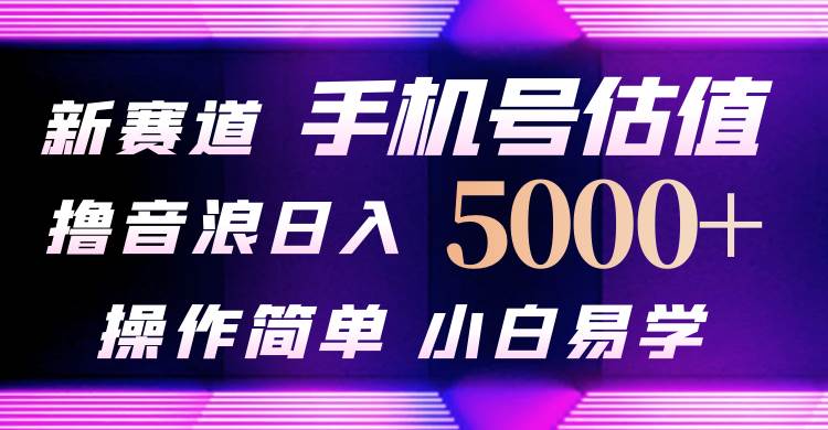 抖音不出境直播【手机号估值】最新撸音浪，日入5000+，简单易学，适合…-云商网创