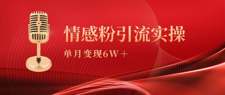 （9473期）单月变现6w+，情感粉引流变现实操课-云商网创