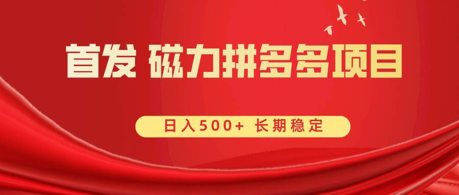 （8611期）首发 磁力拼多多自撸  日入500+-云商网创