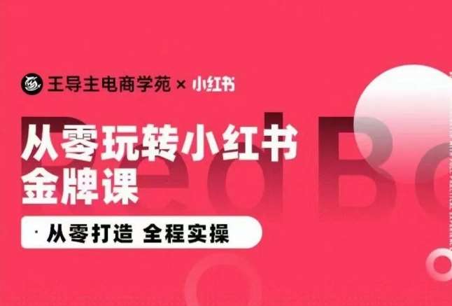 王导主·小红书电商运营实操课，​从零打造  全程实操-云商网创