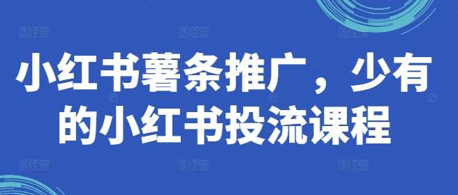 小红书薯条推广，少有的小红书投流课程-云商网创