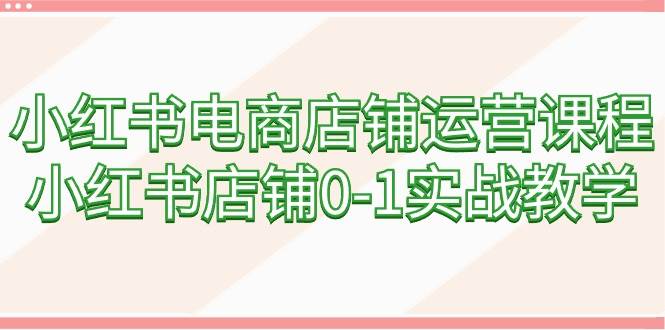 （9249期）小红书电商店铺运营课程，小红书店铺0-1实战教学（60节课）-云商网创