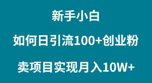 （9556期）新手小白如何通过卖项目实现月入10W+-云商网创