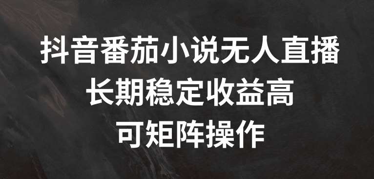 抖音番茄小说无人直播，长期稳定收益高，可矩阵操作【揭秘】-云商网创