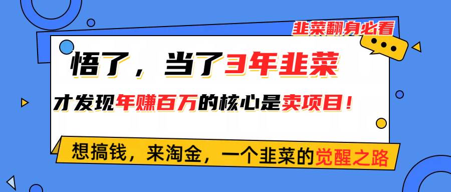 （10759期）悟了，当了3年韭菜，才发现网赚圈年赚100万的核心是卖项目，含泪分享！-云商网创