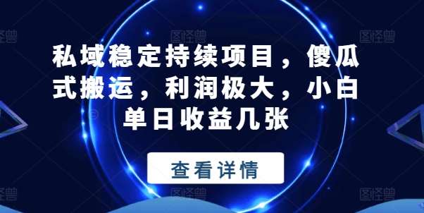 私域稳定持续项目，傻瓜式搬运，利润极大，小白单日收益几张【揭秘】-云商网创