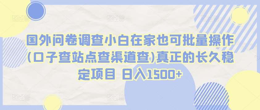 国外问卷调查小白在家也可批量操作(口子查站点查渠道查)真正的长久稳定项目 日入1500+【揭秘】-云商网创