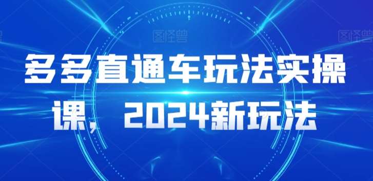 多多直通车玩法实操课，2024新玩法-云商网创