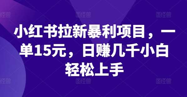 小红书拉新暴利项目，一单15元，日赚几千小白轻松上手【揭秘】-云商网创