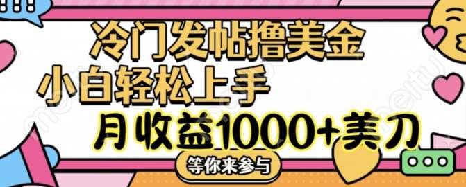 冷门发帖撸美金项目，月收益1000+美金，简单无脑，干就完了【揭秘】-云商网创