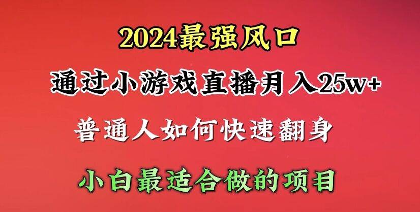 （10020期）2024年最强风口，通过小游戏直播月入25w+单日收益5000+小白最适合做的项目-云商网创