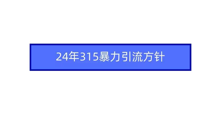 （9398期）2024年315暴力引流方针-云商网创