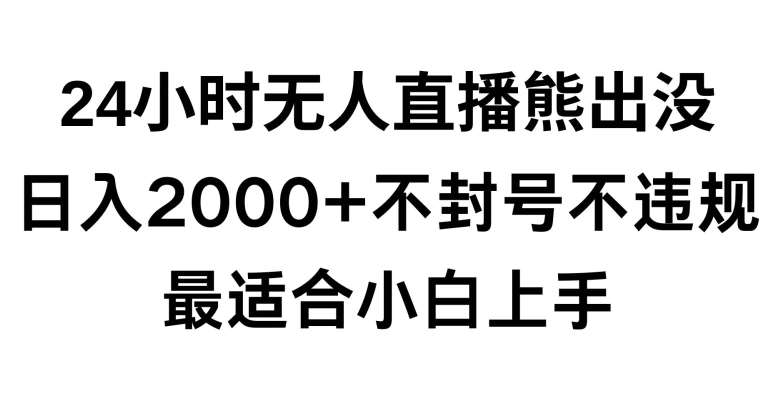 快手24小时无人直播熊出没，不封直播间，不违规，日入2000+，最适合小白上手，保姆式教学【揭秘】-云商网创