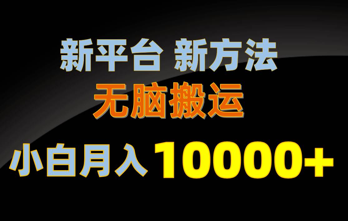 新平台新方法，无脑搬运，月赚10000+，小白轻松上手不动脑-云商网创