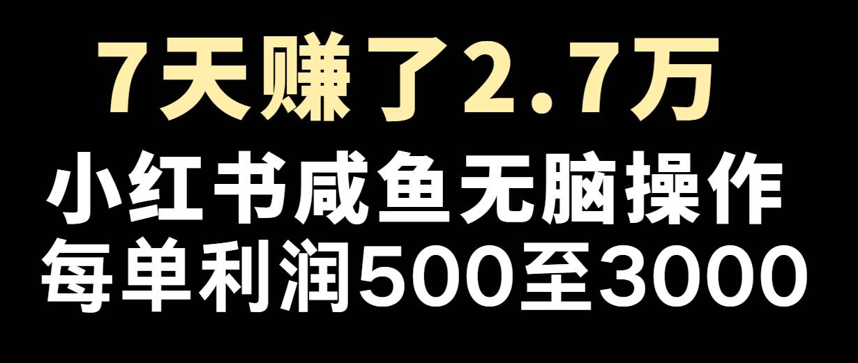 七天赚了2.7万！每单利润最少500+，轻松月入5万+小白有手就行-云商网创