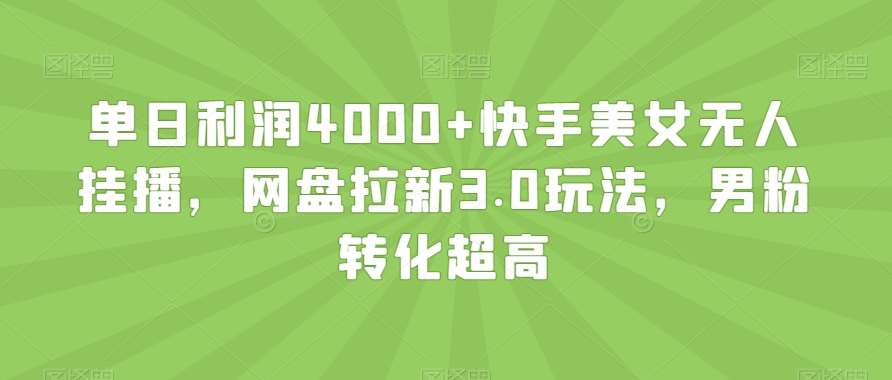 单日利润4000+快手美女无人挂播，网盘拉新3.0玩法，男粉转化超高【揭秘】-云商网创