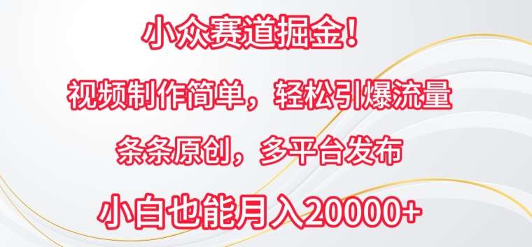 小众赛道掘金，视频制作简单，轻松引爆流量，条条原创，多平台发布【揭秘】-云商网创