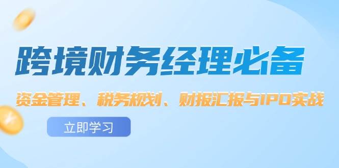 （12323期）跨境 财务经理必备：资金管理、税务规划、财报汇报与IPO实战-云商网创