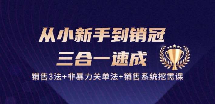 从小新手到销冠 三合一速成：销售3法+非暴力关单法+销售系统挖需课 (27节)-云商网创