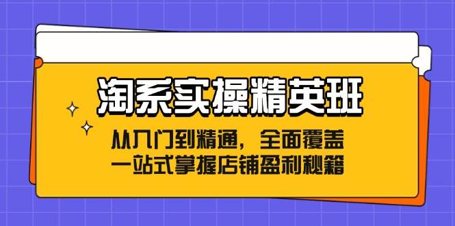 （12276期）淘系实操精英班：从入门到精通，全面覆盖，一站式掌握店铺盈利秘籍-云商网创