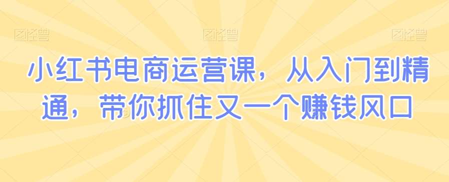 小红书电商运营课，从入门到精通，带你抓住又一个赚钱风口-云商网创