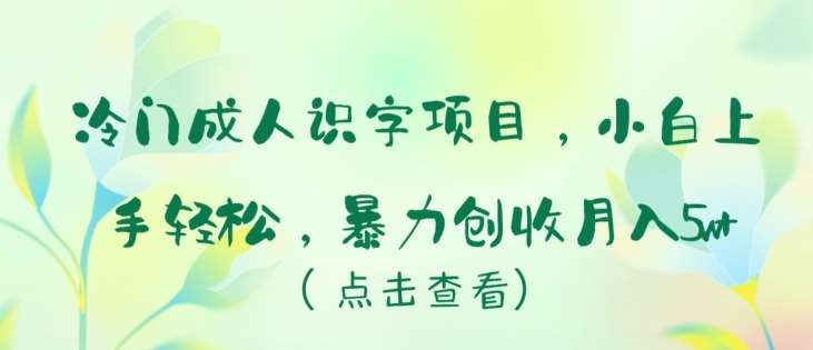 冷门成人识字项目，小白上手轻松，暴力创收月入5w+【揭秘】-云商网创