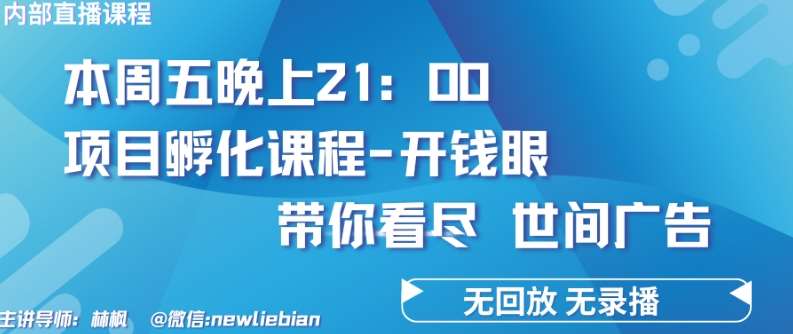 4.26日内部回放课程《项目孵化-开钱眼》赚钱的底层逻辑【揭秘】-云商网创