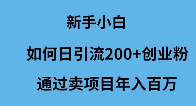 新手小白如何日引流200+创业粉通过卖项目年入百万-云商网创