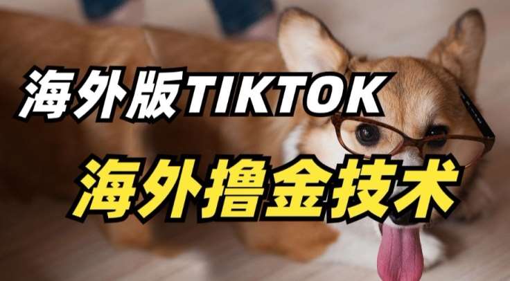 抖音海外版tiktok撸金技术，这个风口行业，赚钱真的不难【揭秘】-云商网创