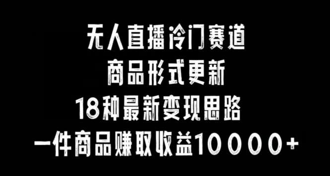 无人直播冷门赛道，商品形式更新，18种变现思路，一件商品赚取收益10000+【揭秘】-云商网创